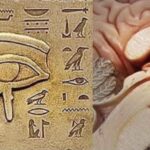 The Pineal Gland Eye of Horus Connection